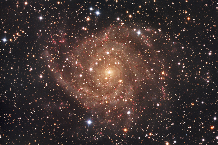 IC 342